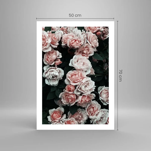 Póster - Conjunto de rosas - 50x70 cm