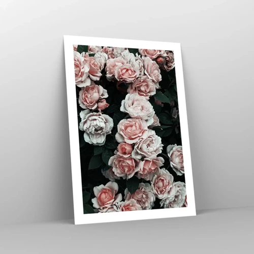 Póster - Conjunto de rosas - 50x70 cm