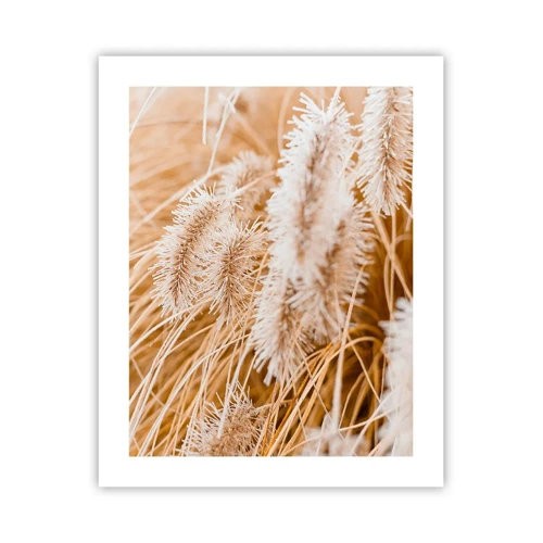 Póster - El dorado susurro de las hierbas - 40x50 cm