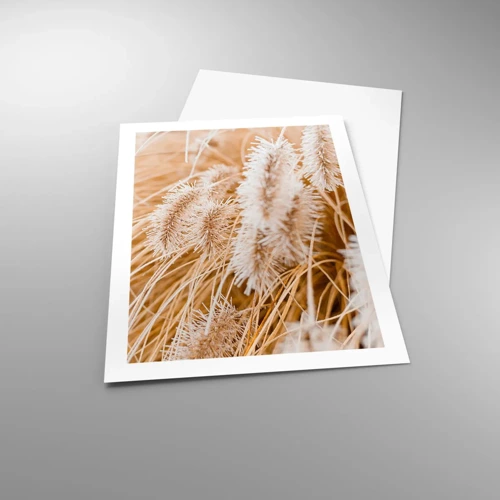 Póster - El dorado susurro de las hierbas - 50x70 cm
