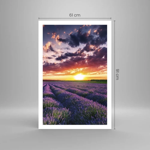 Póster - El mundo de la lavanda - 61x91 cm