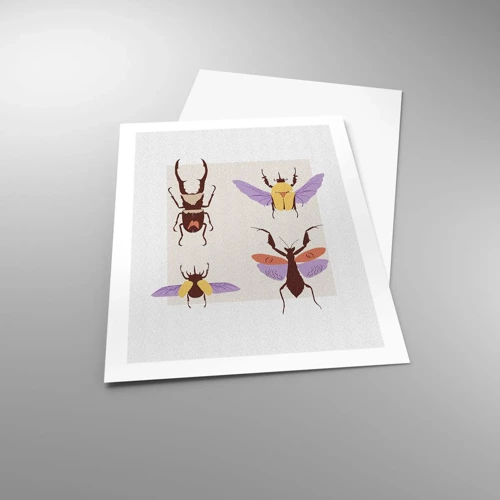 Póster - El mundo de los insectos - 50x70 cm