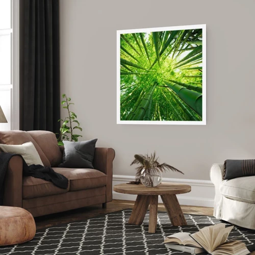 Póster - En un bosquecillo de bambú - 50x50 cm