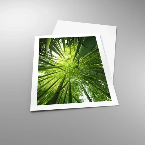 Póster - En un bosquecillo de bambú - 50x70 cm