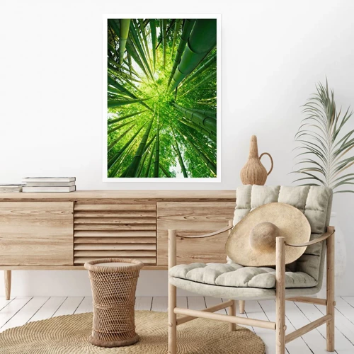 Póster - En un bosquecillo de bambú - 50x70 cm