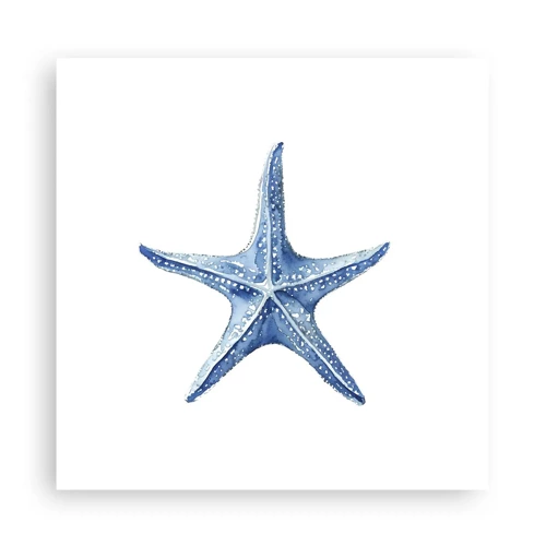 Póster - Estrella de mar - 30x30 cm