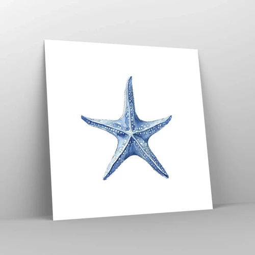Póster - Estrella de mar - 30x30 cm