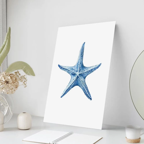 Póster - Estrella de mar - 70x100 cm