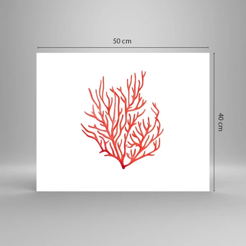 Póster - Filigrana de coral - 50x40 cm