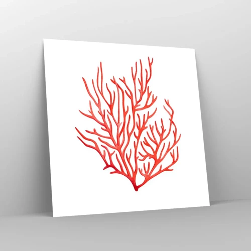Póster - Filigrana de coral - 60x60 cm
