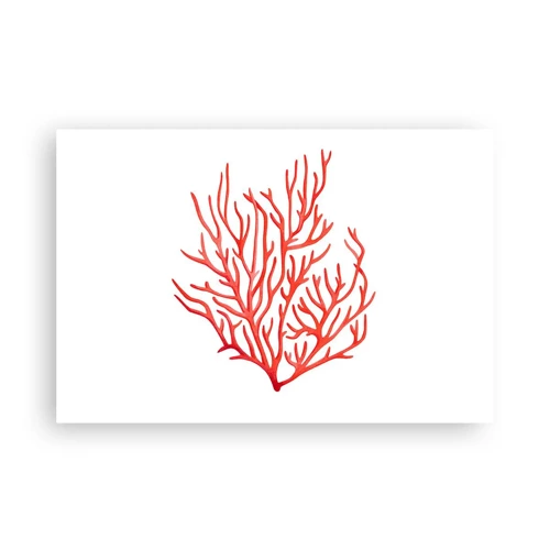 Póster - Filigrana de coral - 91x61 cm