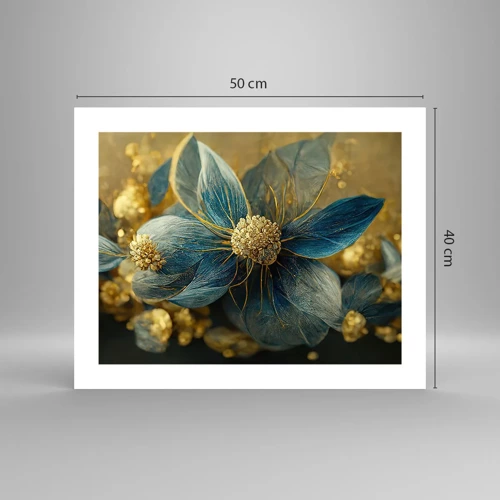 Póster - Flor de oro - 50x40 cm