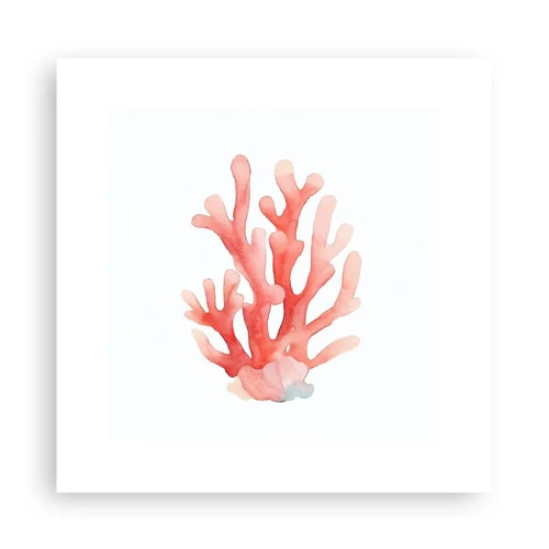 Póster - La hermosura del color coral - 30x30 cm