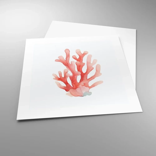 Póster - La hermosura del color coral - 40x40 cm