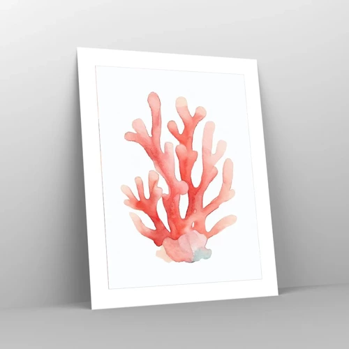 Póster - La hermosura del color coral - 40x50 cm