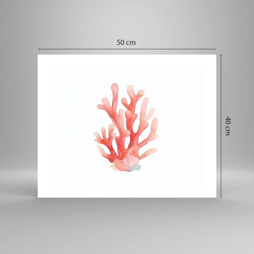 Póster - La hermosura del color coral - 50x40 cm