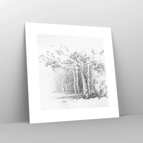 Póster - La luz de un bosque de abedules - 30x30 cm