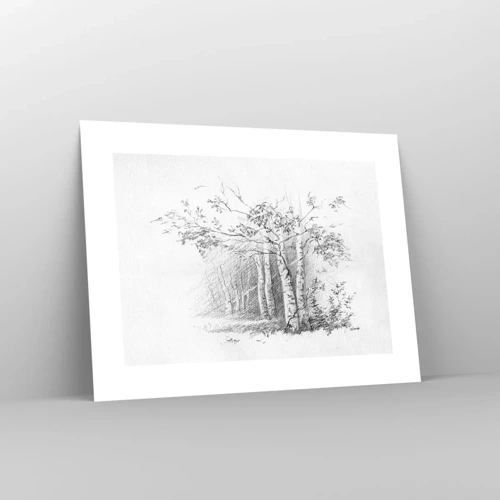 Póster - La luz de un bosque de abedules - 40x30 cm