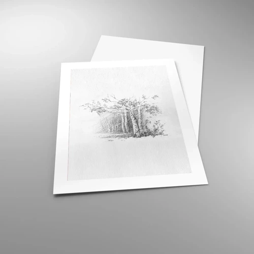 Póster - La luz de un bosque de abedules - 40x50 cm