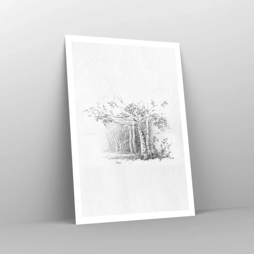 Póster - La luz de un bosque de abedules - 70x100 cm