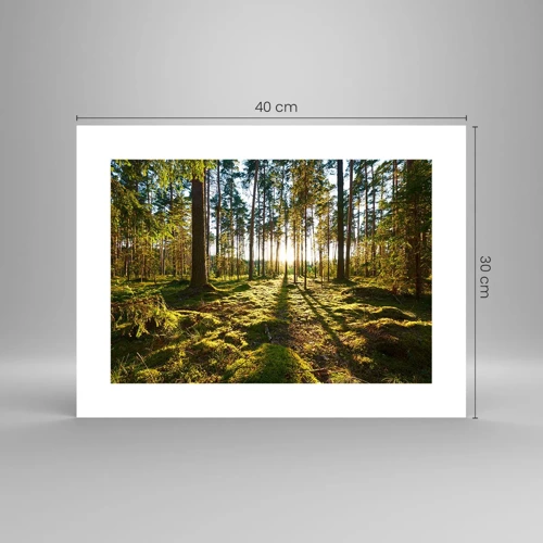 Póster - ...Más allá de los siete bosques - 40x30 cm