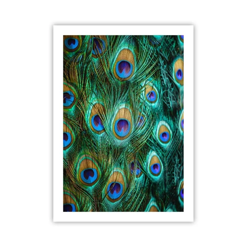 Póster - Mirada de pavo real - 50x70 cm