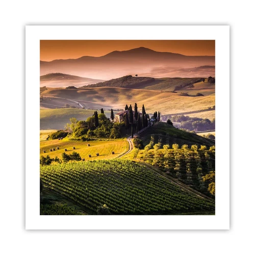 Póster - Paisaje toscano - 50x50 cm