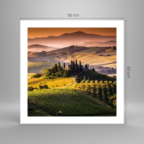 Póster - Paisaje toscano - 50x50 cm