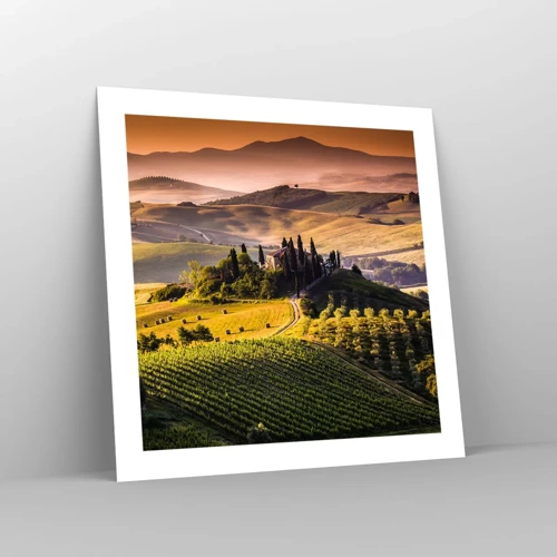 Póster - Paisaje toscano - 50x50 cm