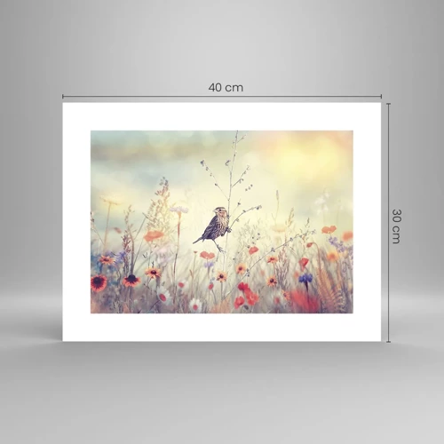 Póster - Retrato de pájaro con prado de fondo - 40x30 cm