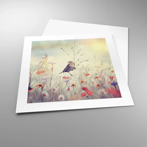 Póster - Retrato de pájaro con prado de fondo - 40x40 cm
