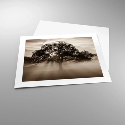 Póster - Un árbol de buenas noticias  - 50x40 cm