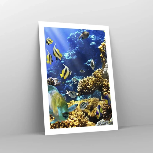 Póster - Vacaciones submarinas - 50x70 cm