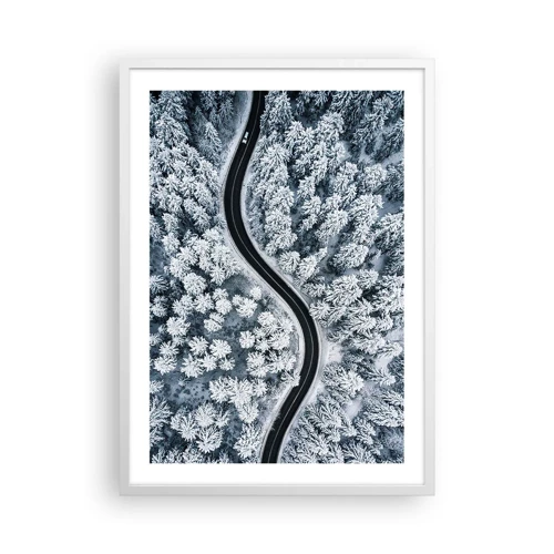Póster en marco blanco - A través de un bosque invernal - 50x70 cm