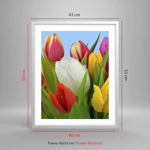 Póster en marco blanco - Arco iris floral en gotas de rocío - 40x50 cm