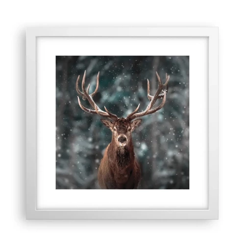 Póster en marco blanco - Coronado rey del bosque - 30x30 cm