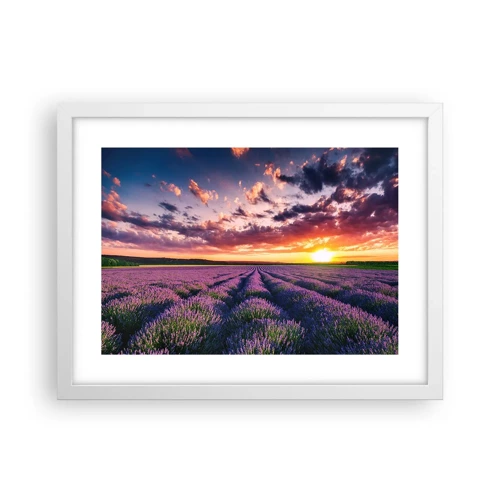 Póster en marco blanco - El mundo de la lavanda - 40x30 cm