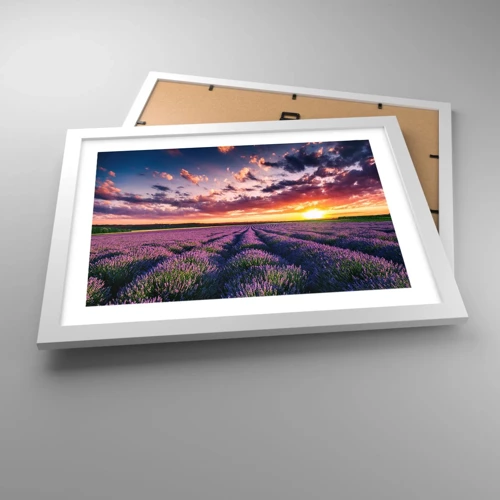 Póster en marco blanco - El mundo de la lavanda - 40x30 cm