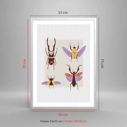 Póster en marco blanco - El mundo de los insectos - 50x70 cm