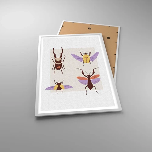 Póster en marco blanco - El mundo de los insectos - 61x91 cm