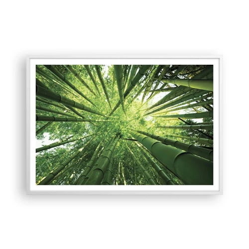 Póster en marco blanco - En un bosquecillo de bambú - 100x70 cm
