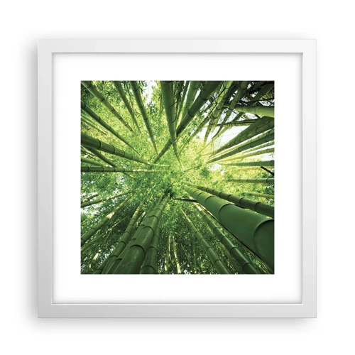 Póster en marco blanco - En un bosquecillo de bambú - 30x30 cm