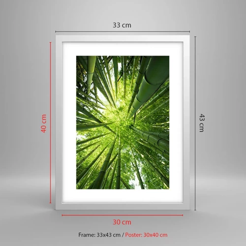 Póster en marco blanco - En un bosquecillo de bambú - 30x40 cm