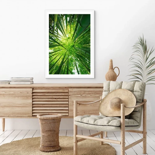 Póster en marco blanco - En un bosquecillo de bambú - 30x40 cm
