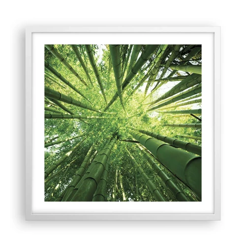Póster en marco blanco - En un bosquecillo de bambú - 50x50 cm