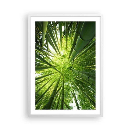 Póster en marco blanco - En un bosquecillo de bambú - 50x70 cm