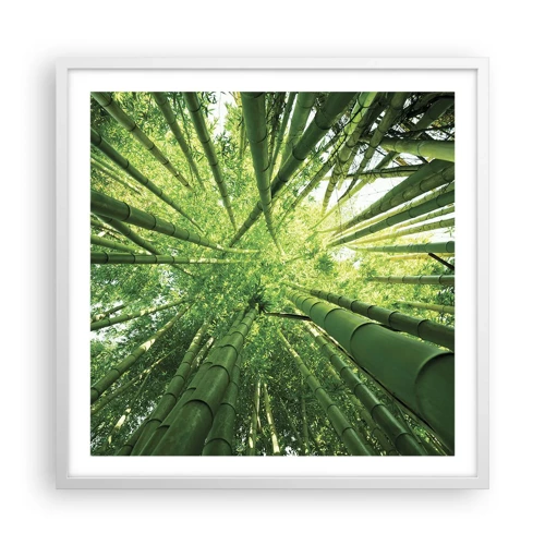 Póster en marco blanco - En un bosquecillo de bambú - 60x60 cm