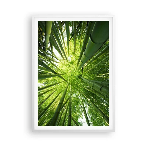 Póster en marco blanco - En un bosquecillo de bambú - 70x100 cm