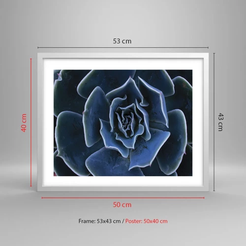 Póster en marco blanco - Flor del desierto - 50x40 cm