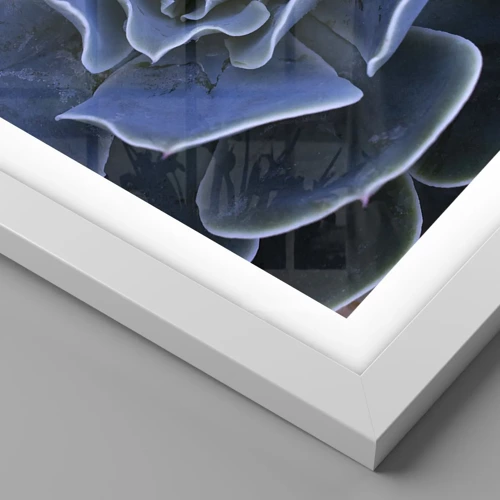 Póster en marco blanco - Flor del desierto - 50x40 cm